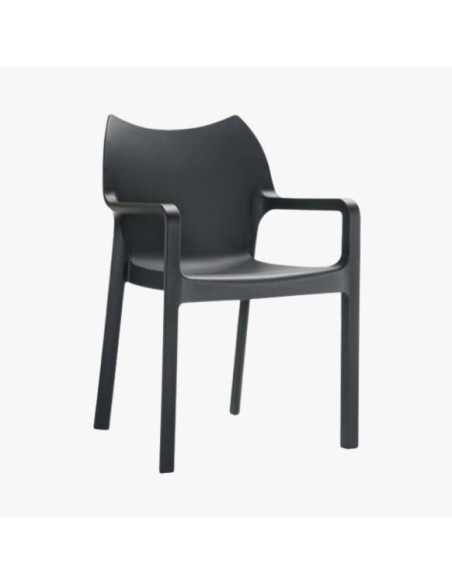 Silla de jardín  pack Dady