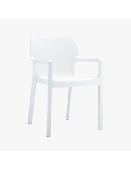 Silla de jardín  pack Dady